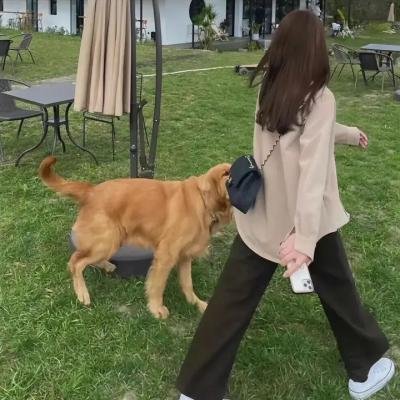 黑眼镜
